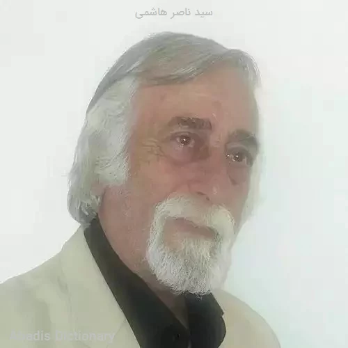 سید ناصر هاشمی